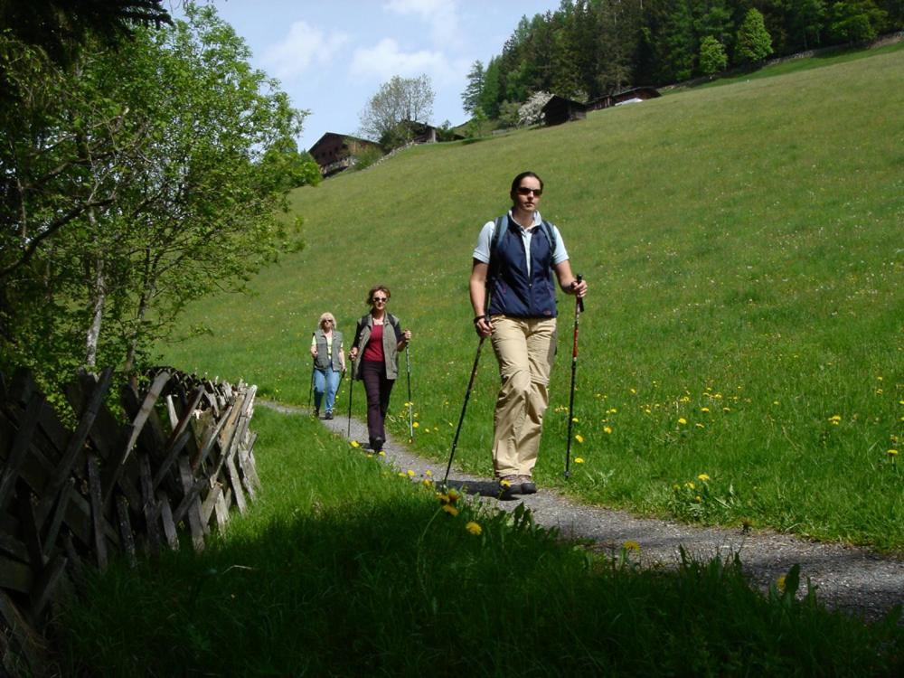 Hotel Gasthof Kroell - Inkl Nationalpark-Karte, 1 X Grossglockner Hochalpenstrasse Kostenlos, 1X Gerlos Alpenstrasse Kostenlos, Krimmler Wasserfaelle Kostenlos, Verschiedene Bergbahnen Kostenlos, Badesee Kostenlos, Bus & Zug Kostenlos, Genusskueche, Niedernsill Ngoại thất bức ảnh
