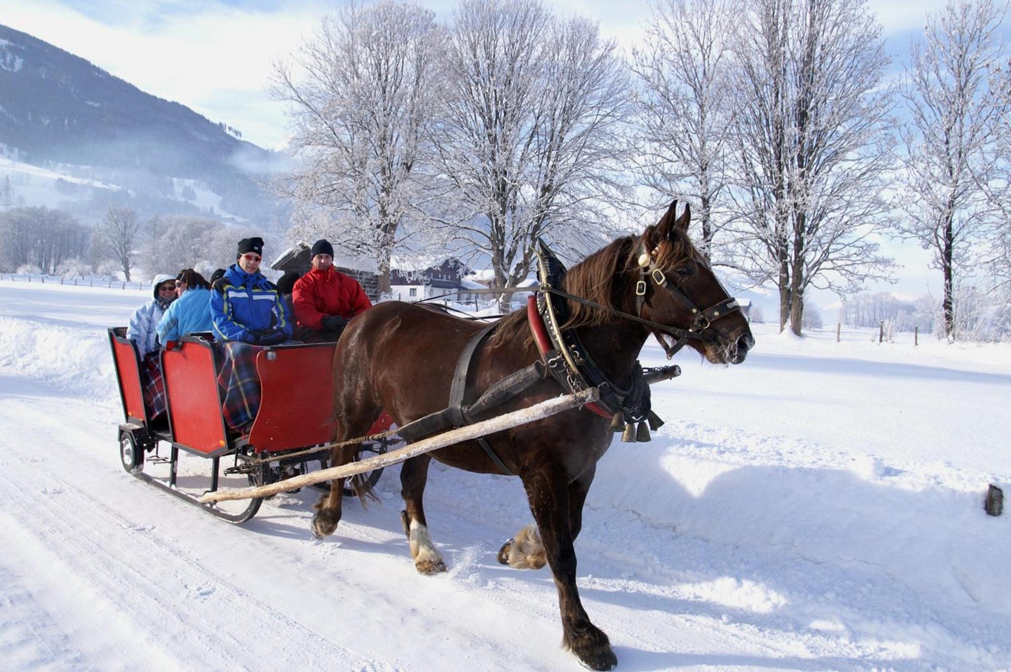 Hotel Gasthof Kroell - Inkl Nationalpark-Karte, 1 X Grossglockner Hochalpenstrasse Kostenlos, 1X Gerlos Alpenstrasse Kostenlos, Krimmler Wasserfaelle Kostenlos, Verschiedene Bergbahnen Kostenlos, Badesee Kostenlos, Bus & Zug Kostenlos, Genusskueche, Niedernsill Ngoại thất bức ảnh